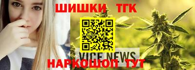стаф Новодвинск