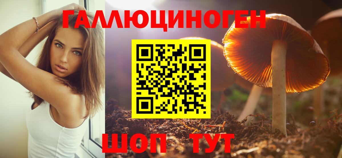 Псилоцибиновые грибы мицелий Старый Оскол