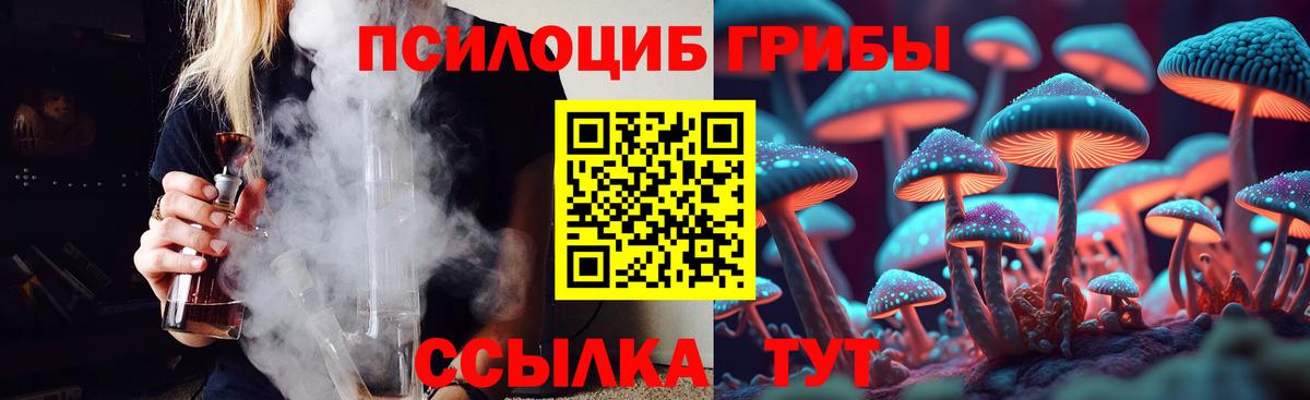 Старый Оскол  Псилоцибиновые грибы прущие грибы  Вход с VPN 